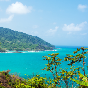Panama: City & Rainforest