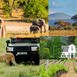 Charlotte to South Africa: Winelands and Safaris 10/1-10/11 $6009