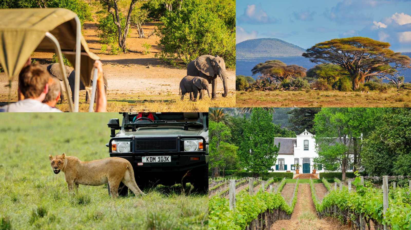 Charlotte to South Africa: Winelands and Safaris 10/1-10/11 $6009