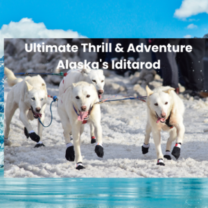 Ultimate Thrill & Adventure Alaska's Iditarod